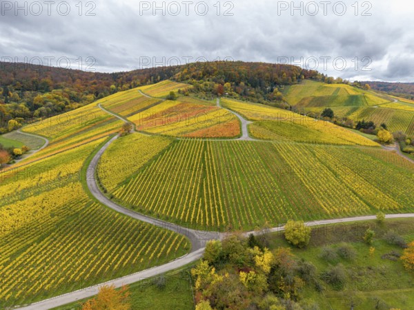Colourful vineyards in autumn landscape with winding paths under clouds, near Stetten im Remstal, Baden-Württemberg, Germany