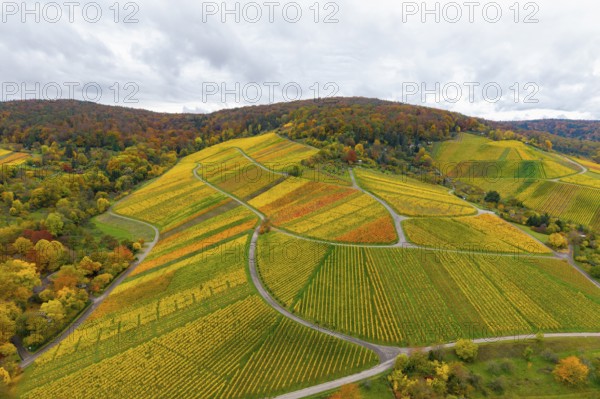 Vineyards in autumn colors, with hilly landscapes and cloudy skies, near Stetten im Remstal, Baden-Württemberg, Germany
