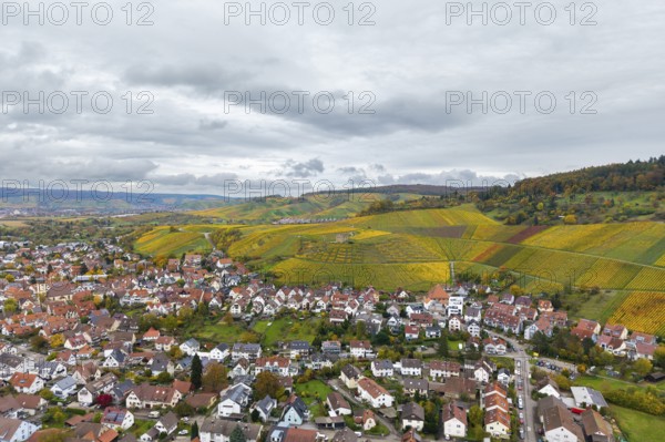 A village surrounded by extensive vineyards in autumn colors under a cloudy sky, Stetten im Remstal, Baden-Württemberg, Germany