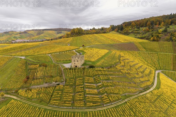 A tower surrounded by extensive yellow vineyards on rolling hills in cloudy weather, Y-Burg, Stetten im Remstal, Baden-Württemberg, Germany
