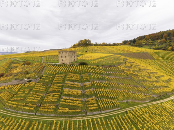 Single tower above yellow, autumnal vineyards on rolling hills under grey skies, Y-Burg, Stetten im Remstal, Baden-Württemberg, Germany