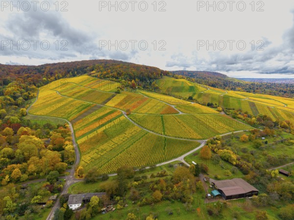 Wide hilly landscape with colorful vineyards and a cloudy sky, near Stetten im Remstal, Baden-Württemberg, Germany