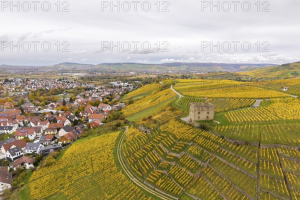 Vineyards in autumn colors with a small village in the background under cloudy sky, Y-Burg, Stetten im Remstal, Baden-Württemberg, Germany