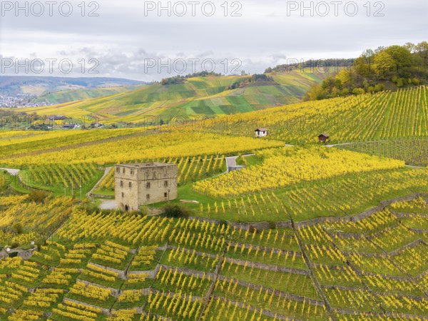 Extensive vineyards of yellow and green color, a tower in the hills in cloudy weather, Y-Burg, Stetten im Remstal, Baden-Württemberg, Germany