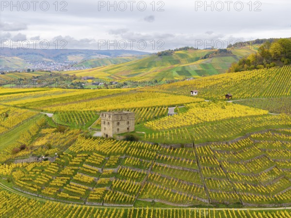 A tower surrounded by extensive yellow-green vineyards under cloudy sky, Y-Burg, Stetten im Remstal, Baden-Württemberg, Germany
