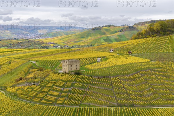 Wide hilly landscape with a central tower surrounded by yellow and green vines, Y-Burg, Stetten im Remstal, Baden-Württemberg, Germany