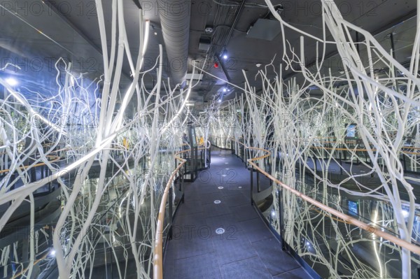 Futuristic space with glass walls and white abstract branches that create a modern, technical atmosphere, Ruhestein National Park Center, Black Forest, Baiersbronn, Germany