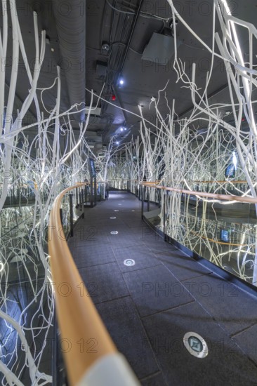 Futuristic space with glass walls and white abstract branches that create a modern, technical atmosphere, Ruhestein National Park Center, Black Forest, Baiersbronn, Germany