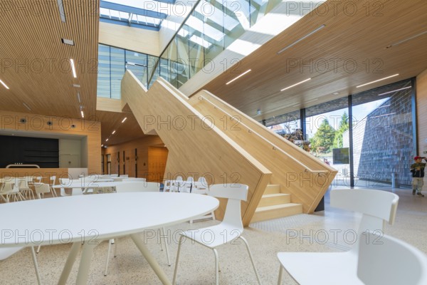 Modern building with large wooden staircase and lots of daylight, Ruhestein National Park Center, Black Forest, Baiersbronn, Germany