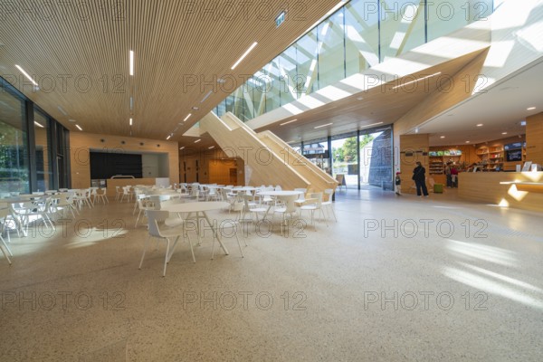Bright interior with wood and glass elements, modern design with cafeteria, Ruhestein National Park Center, Black Forest, Baiersbronn, Germany