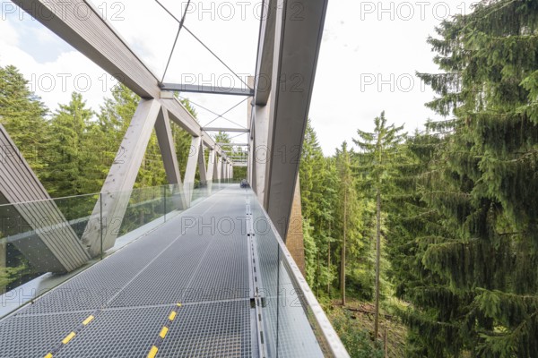 Architecturally impressive metal and wood bridge with glass railing against a wooded background, Ruhestein National Park Center, Black Forest, Baiersbronn, Germany
