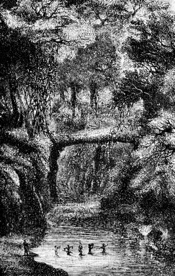 Expedition crosses the Luangwa River, tropics, dense vegetation, indigenous people, trees, humid climate, rainforest, Zambia, Africa, travel, historical illustration around 1900