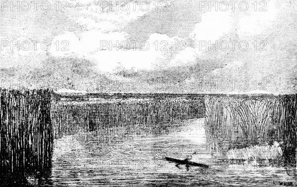 In the mouth of the Jordan and the Dead Sea discovered by Mac Gregor, reed banks, canoeists, travel, Jordan, Middle East, historical illustration around 1900