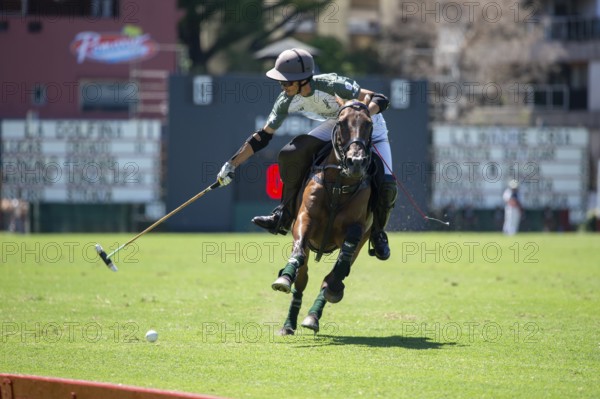 Portrait of polo player Bautista Bayugar from the La Hache Cria y Polo team at the 132nd Argentine Open Polo Championship (Spanish 132nd Abierto Argentino de Polo de Palermo) at the Polo Stadium in Buenos Aires, Argentina