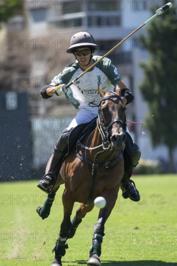 Portrait of polo player Bautista Bayugar from the La Hache Cria y Polo team at the 132nd Argentine Open Polo Championship (Spanish 132nd Abierto Argentino de Polo de Palermo) at the Polo Stadium in Buenos Aires, Argentina
