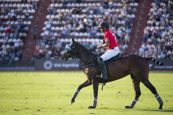 Polo player Francisco Elizalde from the La Irenita La Hache team at the 132nd Argentine Open Polo Championship (Spanish 132nd Abierto Argentino de Polo de Palermo) at the Polo Stadium in Buenos Aires, Argentina