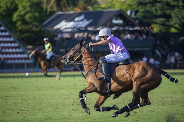 Polo player Jeronimo del Carril from Team La Ensenada at the 132nd Argentine Open Polo Championship (Spanish 132nd Abierto Argentino de Polo de Palermo) at the Polo Stadium in Buenos Aires, Argentina