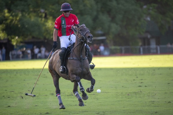 Portrait of polo player Francisco Elizalde from the La Irenita La Hache team at the 132nd Argentine Open Polo Championship (Spanish 132nd Abierto Argentino de Polo de Palermo) at the Polo Stadium in Buenos Aires, Argentina