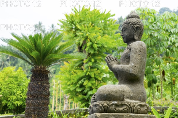 Buddha statue, Sidemen, Bali, Indonesia