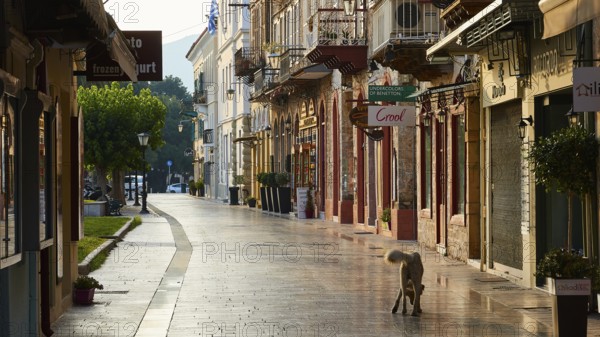 Old town of Nauplion, deserted street with morning sun and a dog in front of historic shops, Nauplion, Nafplion, Peloponnese, Greece