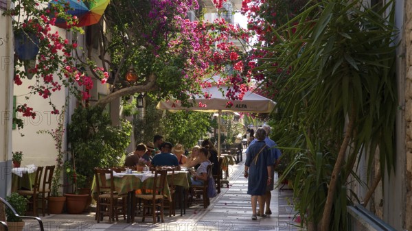 Old town of Nauplion, busy pedestrian street with blooming plants and seating areas, Nauplion, Nafplion, Peloponnese, Greece