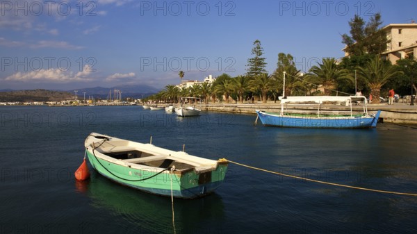 Wooden boats on calm water with palm trees in the background, Nauplion, Nafplion, Peloponnese, Greece