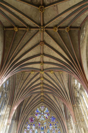 Looking up at vaulted ribbed ceiling inside Exeter cathedral church, Exeter, Devon, England, UK