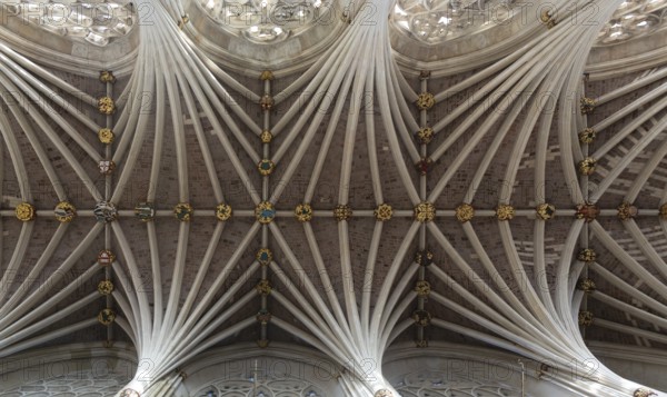 Looking up at vaulted ribbed ceiling inside Exeter cathedral church, Exeter, Devon, England, UK