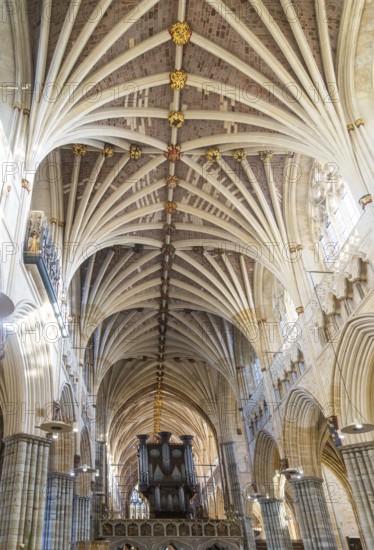 Vaulted ribbed ceiling inside Exeter cathedral church, Exeter, Devon, England, UK