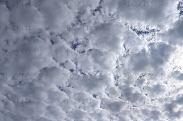 Dense clouds (Stratocumulus), Mecklenburg-Western Pomerania, Germany