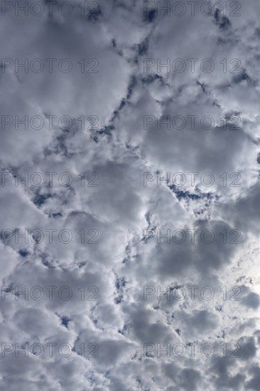 Dense clouds (Stratocumulus), Mecklenburg-Western Pomerania, Germany