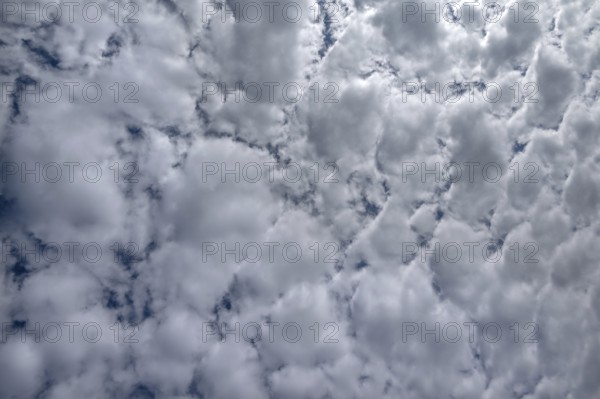 Dense clouds (Stratocumulus), Mecklenburg-Western Pomerania, Germany