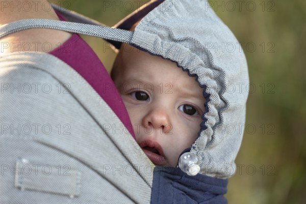 Baby, two months, in a towel on her mother's back, Othenstorf, Mecklenburg-Western Pomerania, Germany