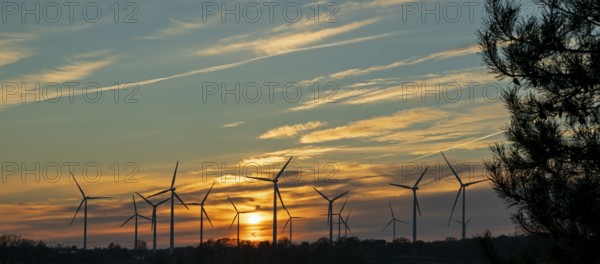 Sunset, wind turbines, sunset, tree, silhouettes, Südergellersen, Samtgemeinde Gellersen, Lower Saxony, Germany