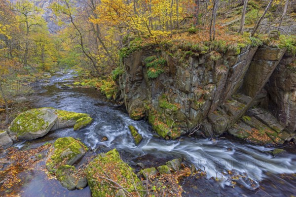 River Bode running through forest showing autumn colours, fall colors at Nature reserve Bode Valley in the Harz Mountains, Saxony-Anhalt, Germany