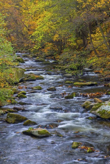 River Bode running through forest showing autumn colours, fall colors at Nature reserve Bode Valley in the Harz Mountains, Saxony-Anhalt, Germany