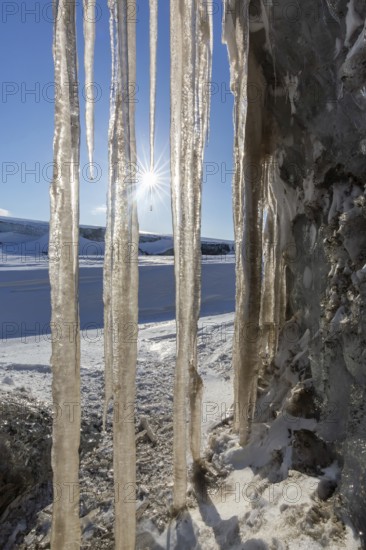 Sun shining through icicles at Mohnbukta, bay at western shore of Storfjorden in Sabine Land, Spitsbergen, Svalbard