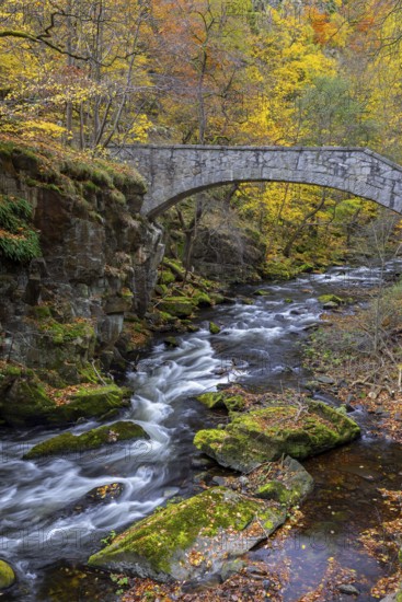 Jungfern Bridge, Jungfernbrücke, 20th century stone footbridge, pedestrian bridge over the Bode River in the Harz Mountains, Saxony-Anhalt, Germany