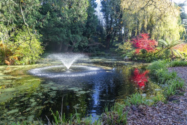 Water fountain in pond gardens, Streatham Campus, University of Exeter, Exeter, Devon, England, UK