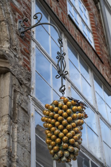 Nose sign at a former Gasthaus Traube, Hanseatic City of Lübeck, Schleswig-Holstein, Germany