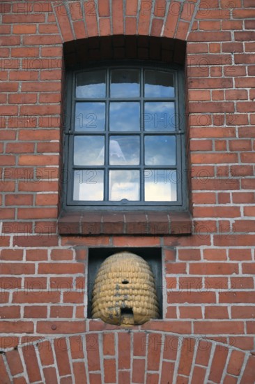 Beehive under an industrial window, Hanseatic City of Lübeck, Schleswig-Holstein, Germany