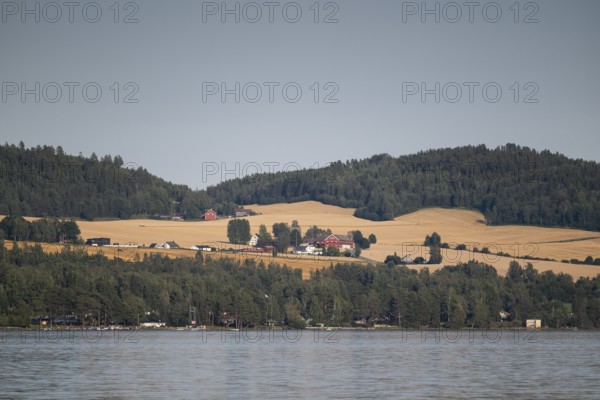 Fields, forest and farms at Lake Mjøsa, Innlandet County, Norway