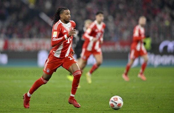 Michael Olise FC Bayern Munich FCB (17) Action at the Allianz Arena Ball, Munich, Bayern, Germany