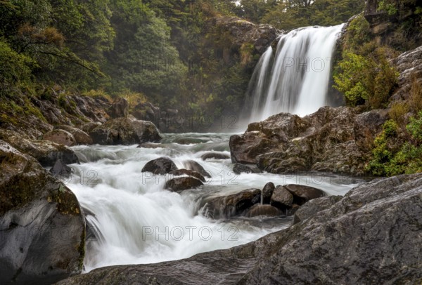 Tawhai Falls Waterfall (Gollum's Pool) . Where the Lord of the Rings film trilogies was filmed. Long exposure, blurred. Tongariro National Park, North Island, New Zealand
