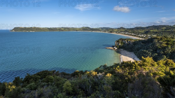Landscape with sea and sandy beach in New Zealand. View of Lonely Bay and Cooks Beach from Shakespeare Cliff. Cooks Beach, Coromandel Peninsula, Waikato, New Zealand