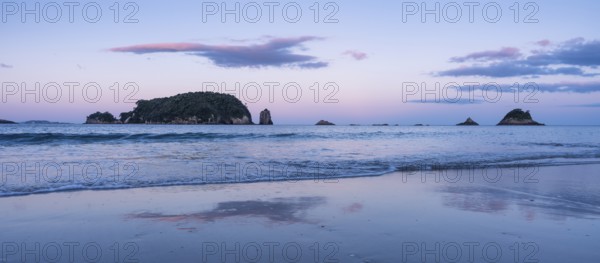Landscape with sea and sandy beach in New Zealand. Hahei Beach in the evening at sunset with Mahurangi Island (Goat Island), Hahei, Coromandel Peninsula, Waikato, New Zealand