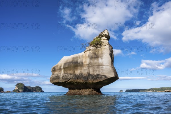 Cathedral Cove in New Zealand. Sea, sandy beach and limestone cliffs. The Smiling Sphinx rock. Cathedral Cove, Hahei, Coromandel Peninsula, Waikato, New Zealand