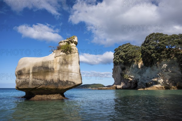 Cathedral Cove in New Zealand. Sea, sandy beach and limestone cliffs. On the left, the Smiling Sphinx rock. Cathedral Cove, Hahei, Coromandel Peninsula, Waikato, New Zealand