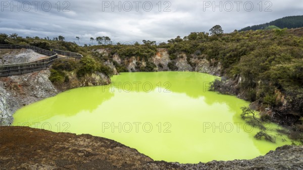 Roto Karikitea, a crater in the Waiotapu (Wai-O-Tapu) geothermal area, filled with green water from the Champagne Pool. Waiotapu, Waikato, North Island, New Zealand