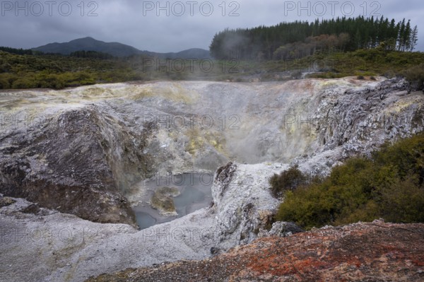 Rua Owhanga, a collapsed crater in the Waiotapu (Wai-O-Tapu) geothermal area. Waiotapu, Waikato, North Island, New Zealand